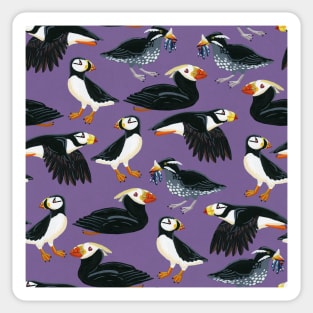 Gouache Purple Puffins Pattern Sticker